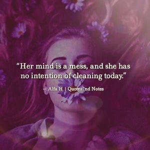 Meet your Posher, Shelby